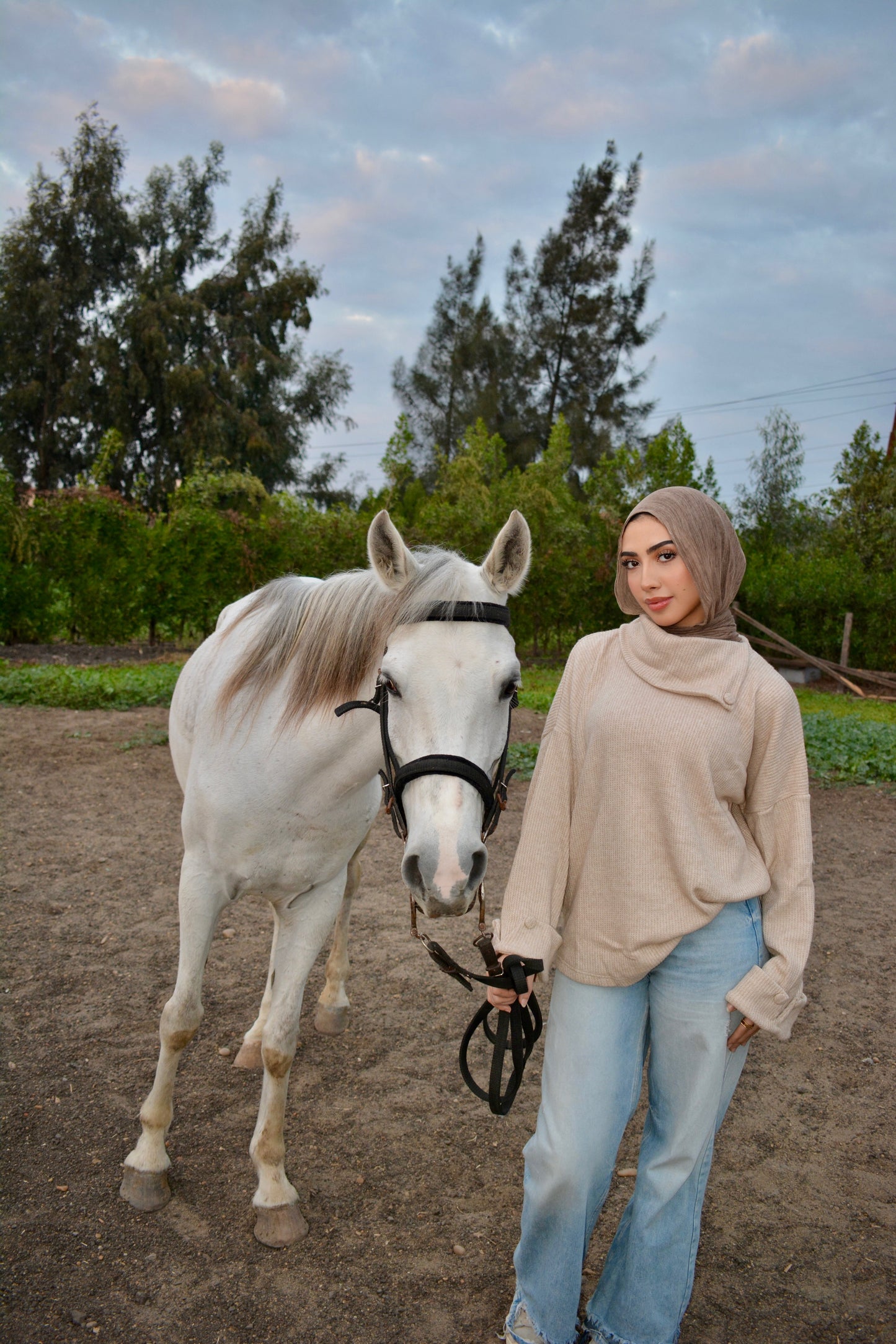 Cozy Pullover -beige