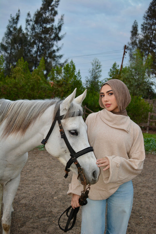 Cozy Pullover -beige