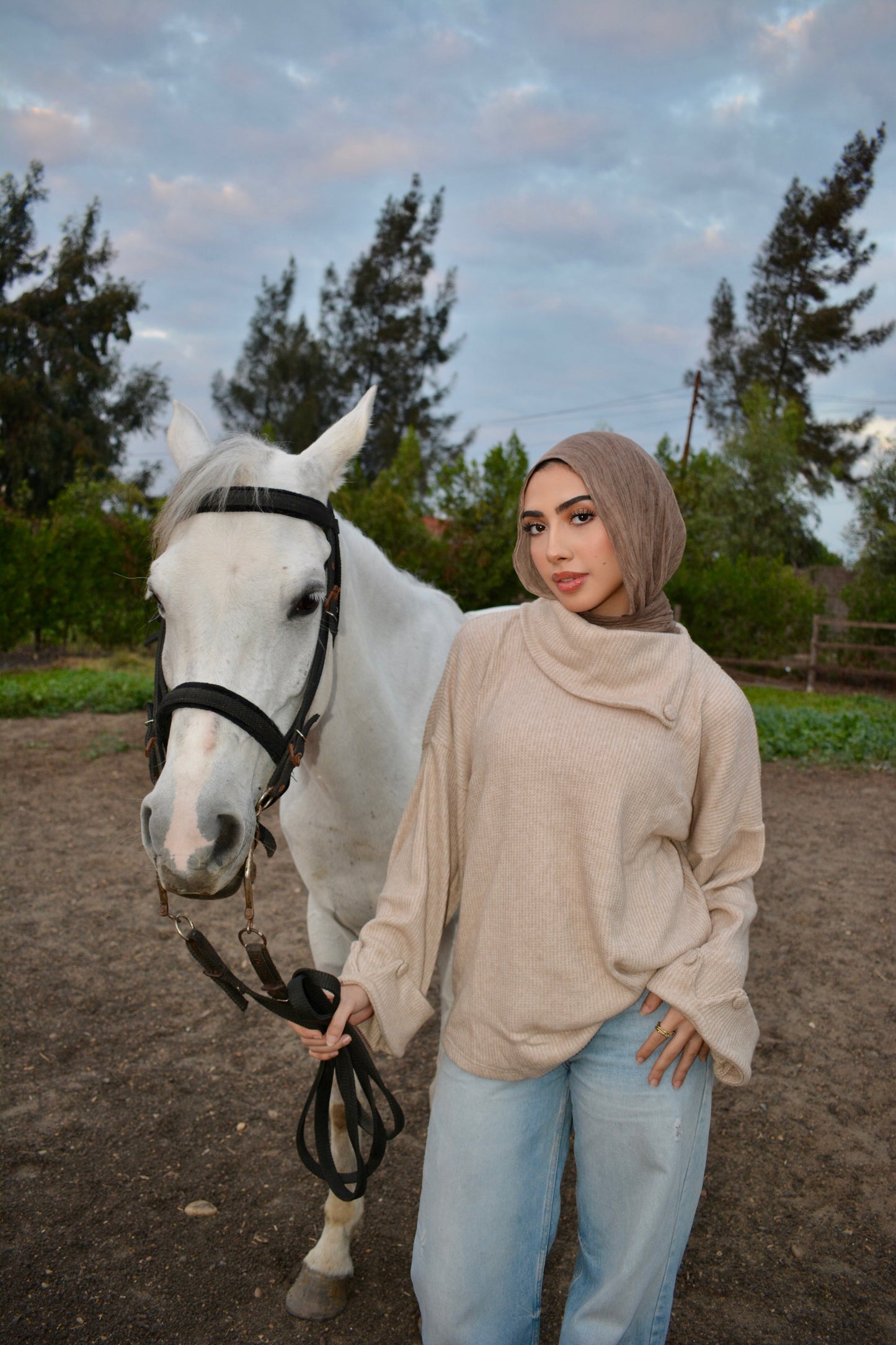 Cozy Pullover -beige