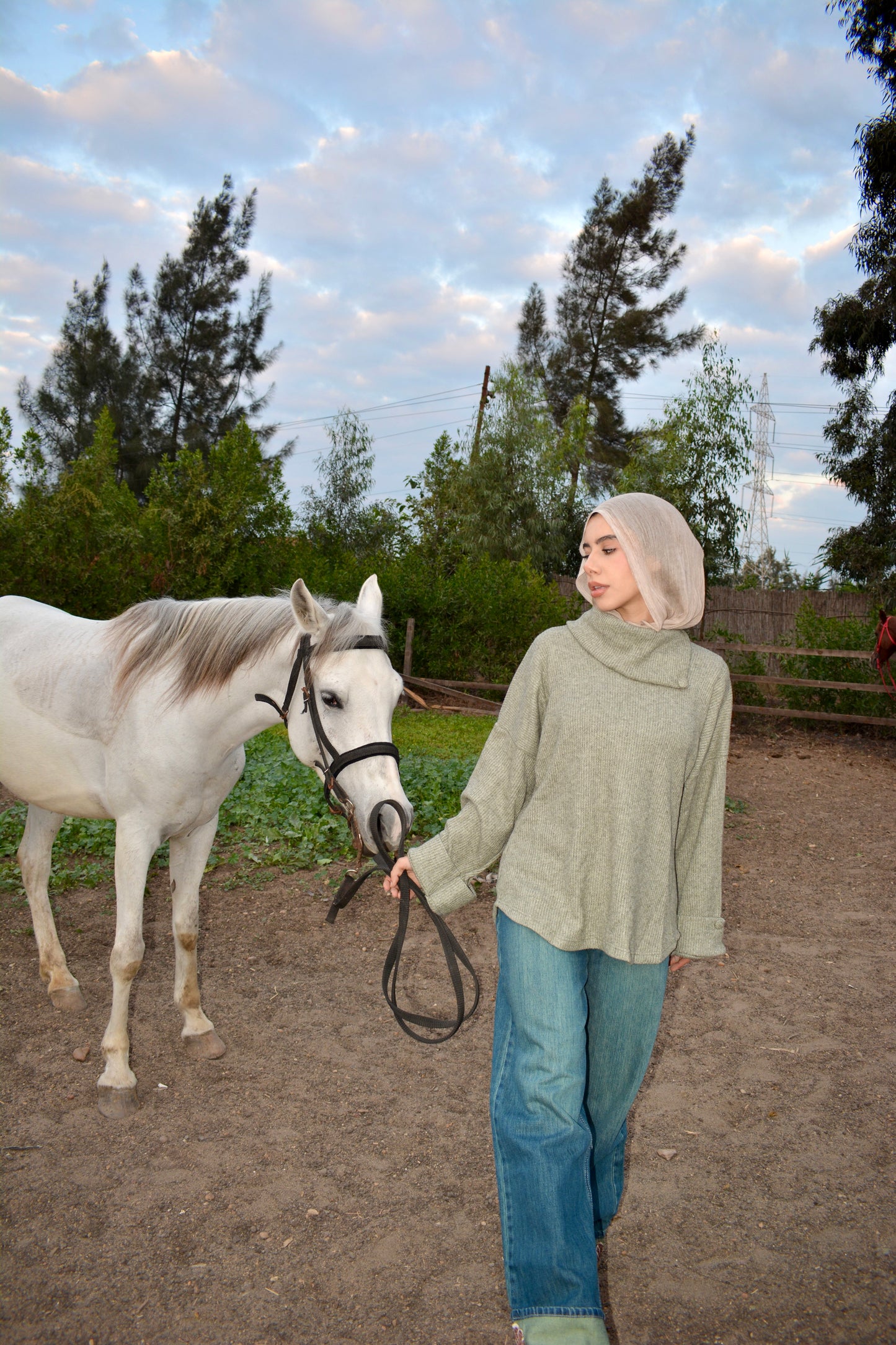 Cozy Pullover -Olive