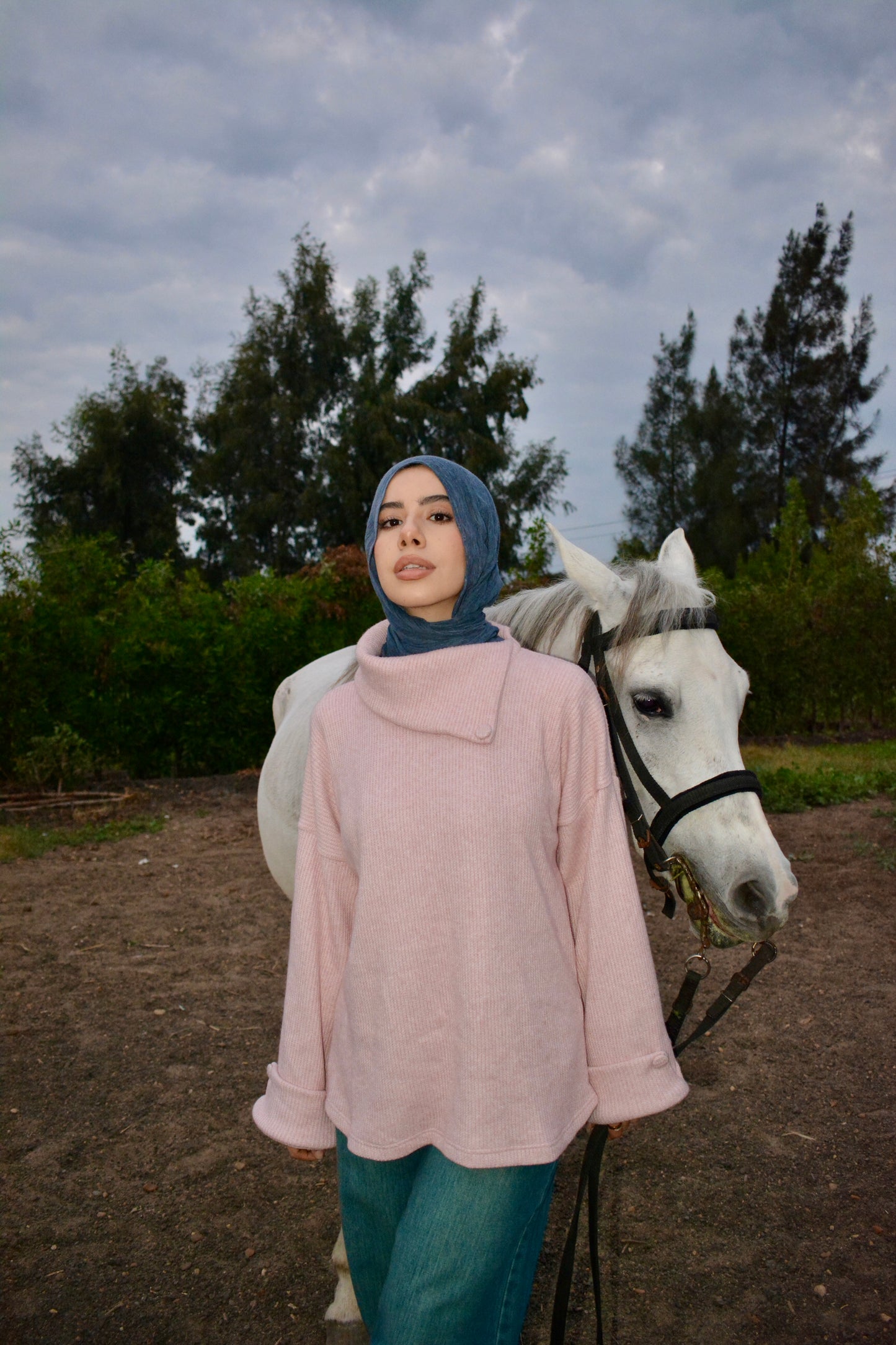 Cozy Pullover -pink