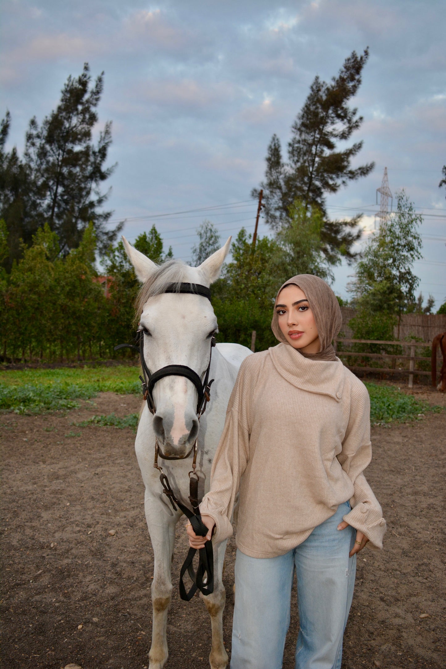 Cozy Pullover -beige