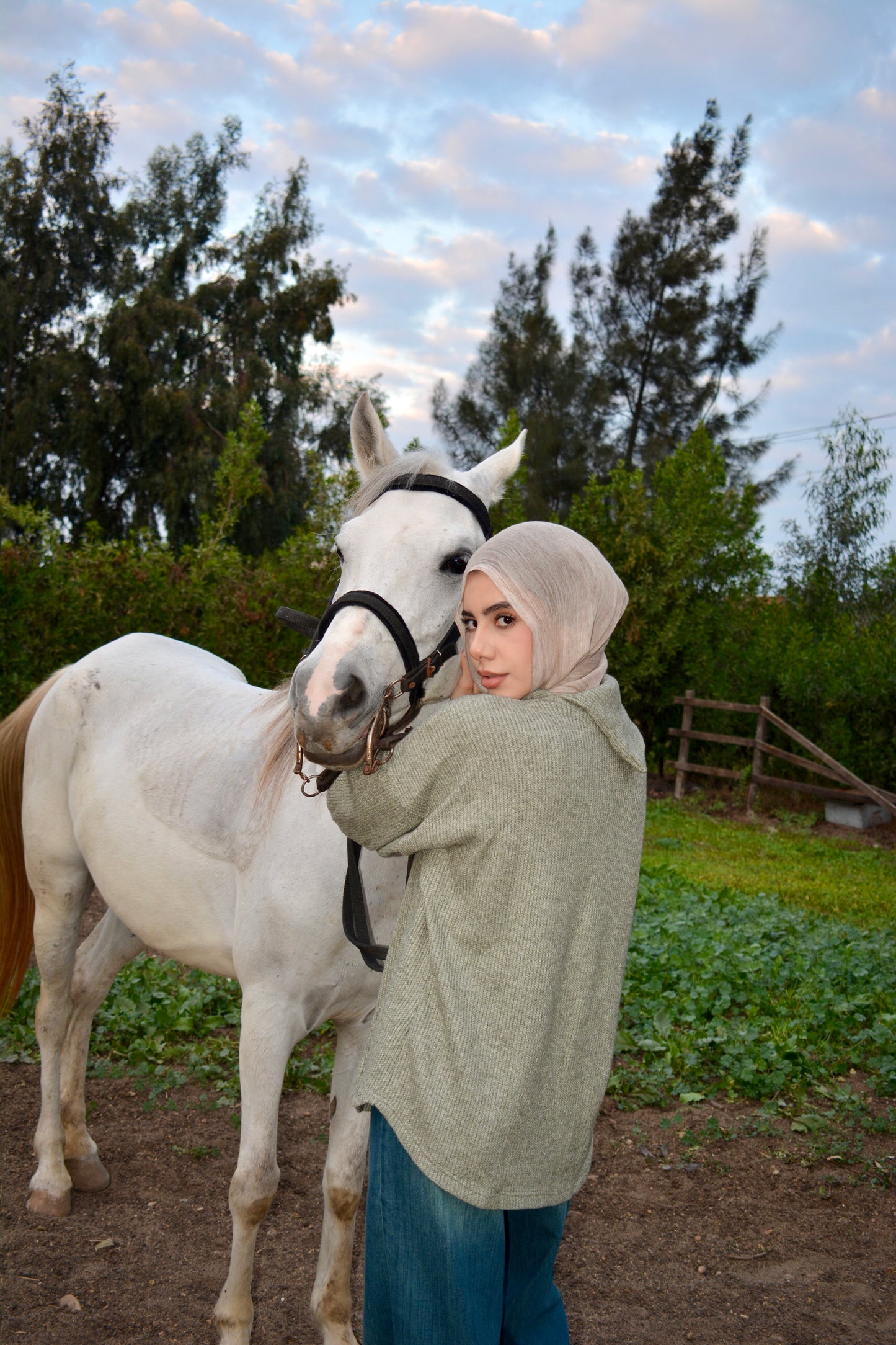 Cozy Pullover -Olive