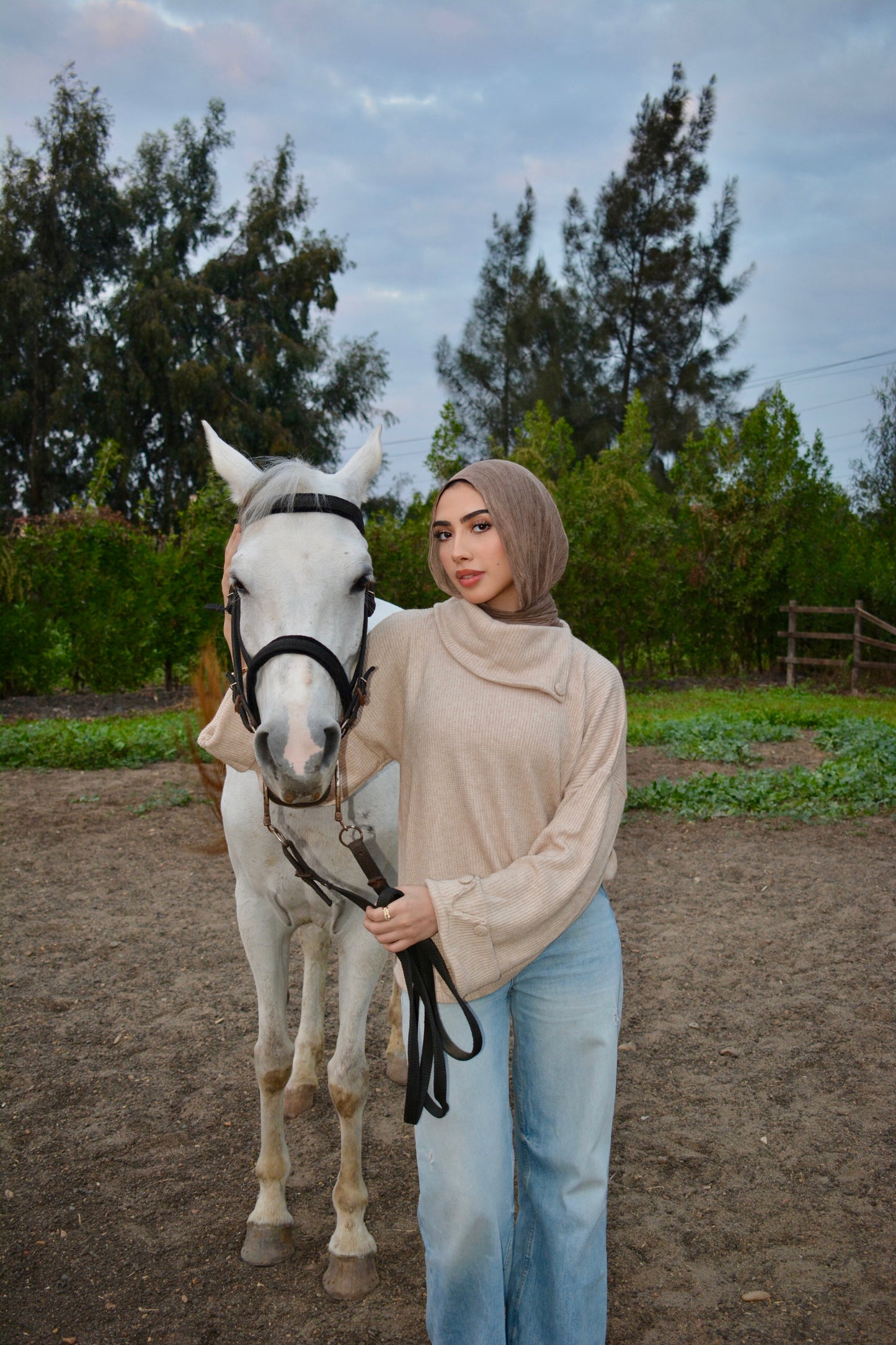 Cozy Pullover -beige