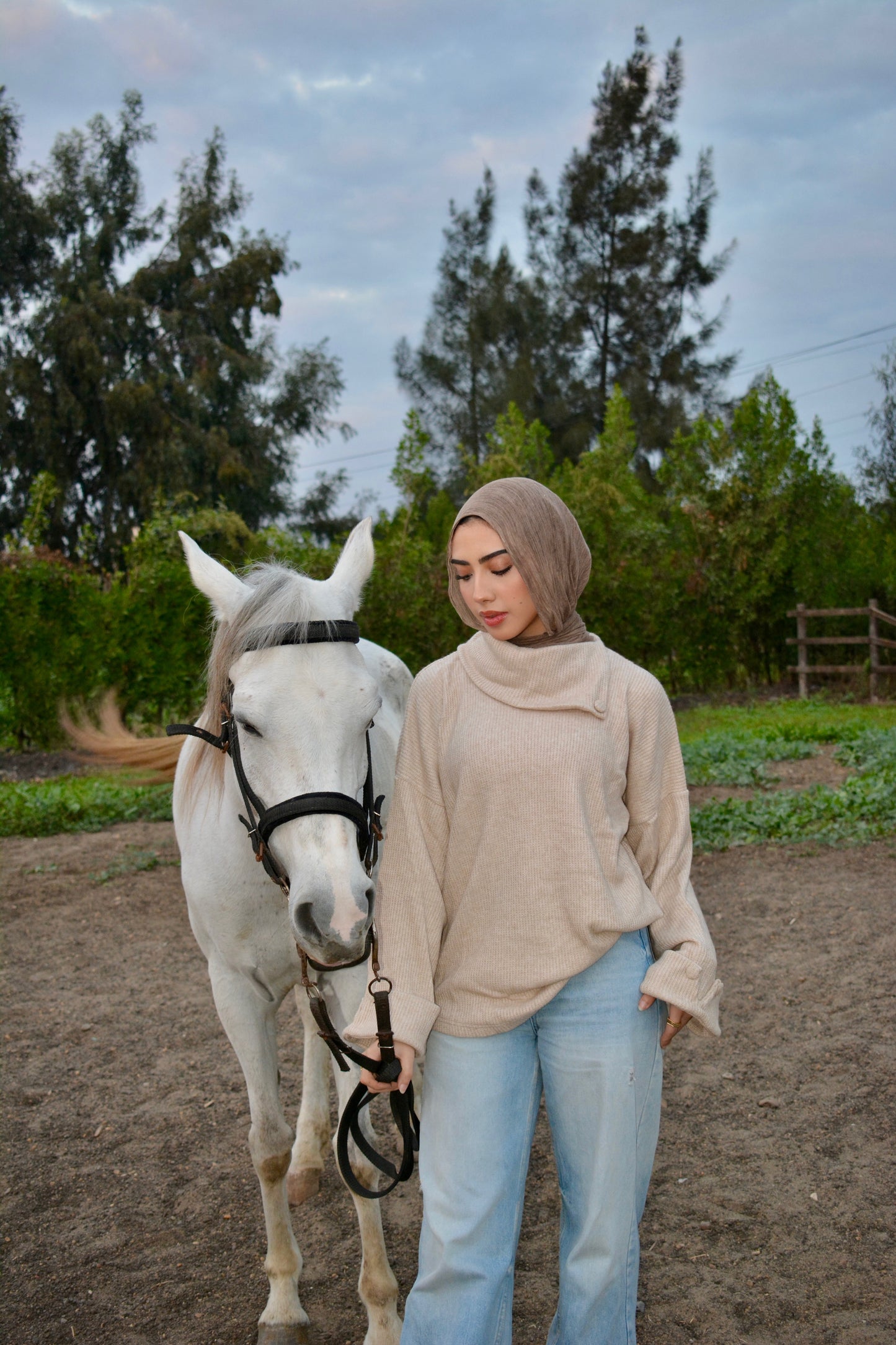 Cozy Pullover -beige